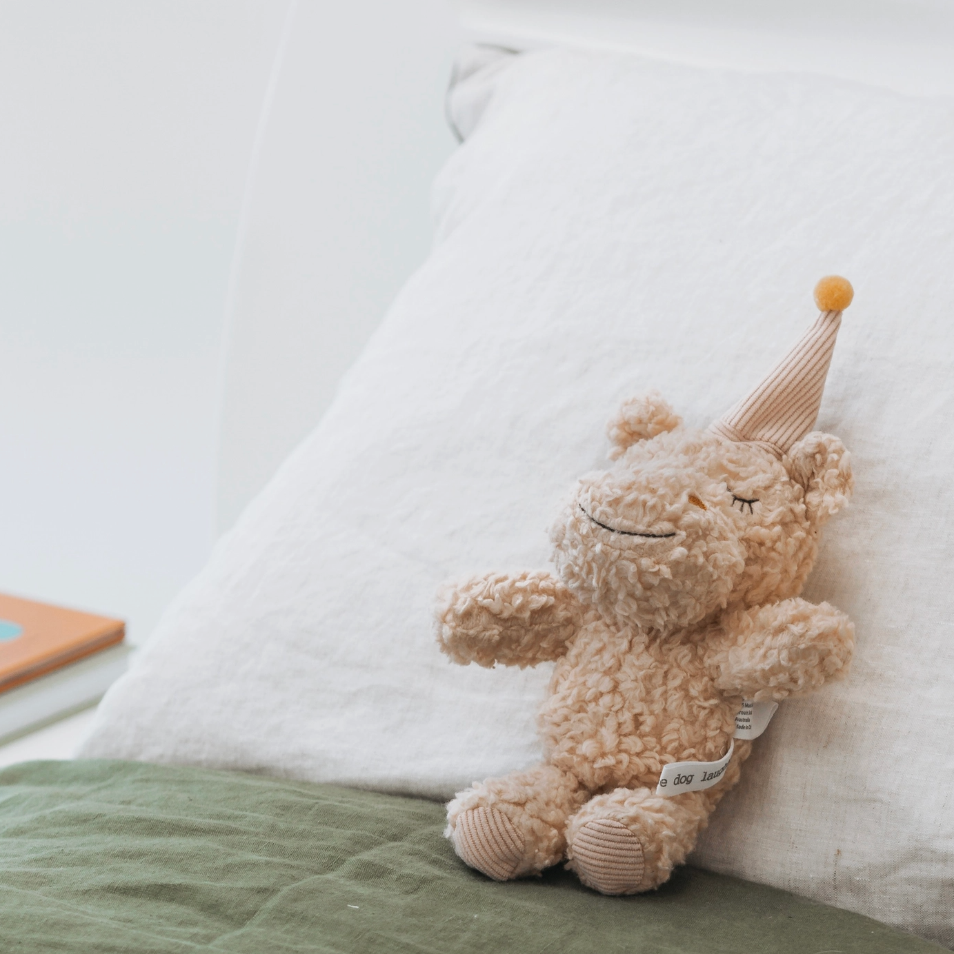 Teddy bear with a party hat on a cushion