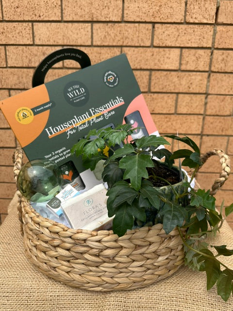 The Plant Lover's Hamper